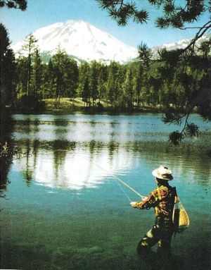 Wednesday Weight blog series - A healthy life - vintage-fly-fishing-man-.jpg